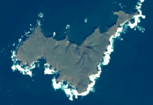 秋勇留島の衛星画像