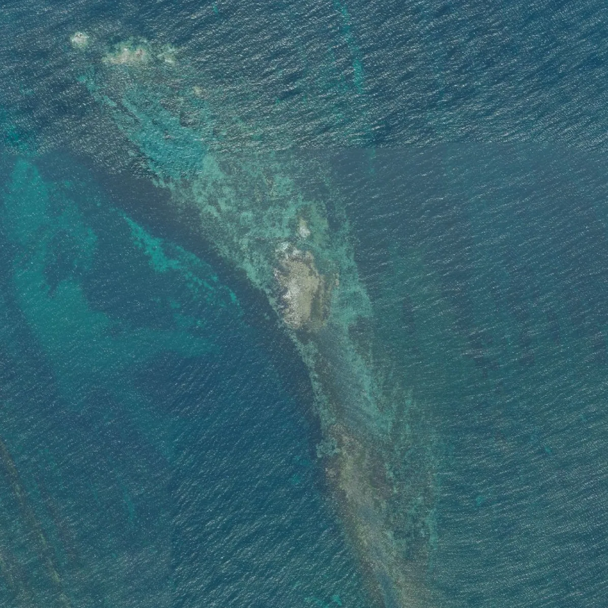 平島の航空写真