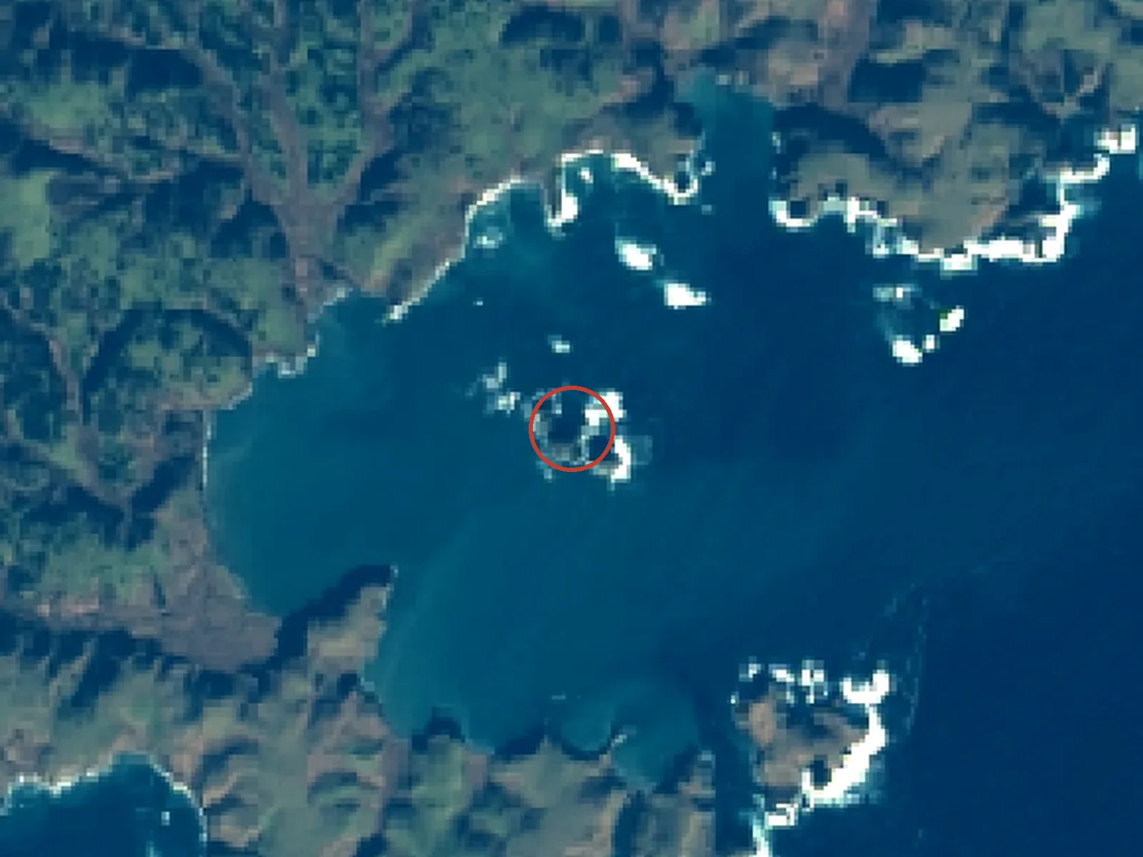鴨島の衛星画像