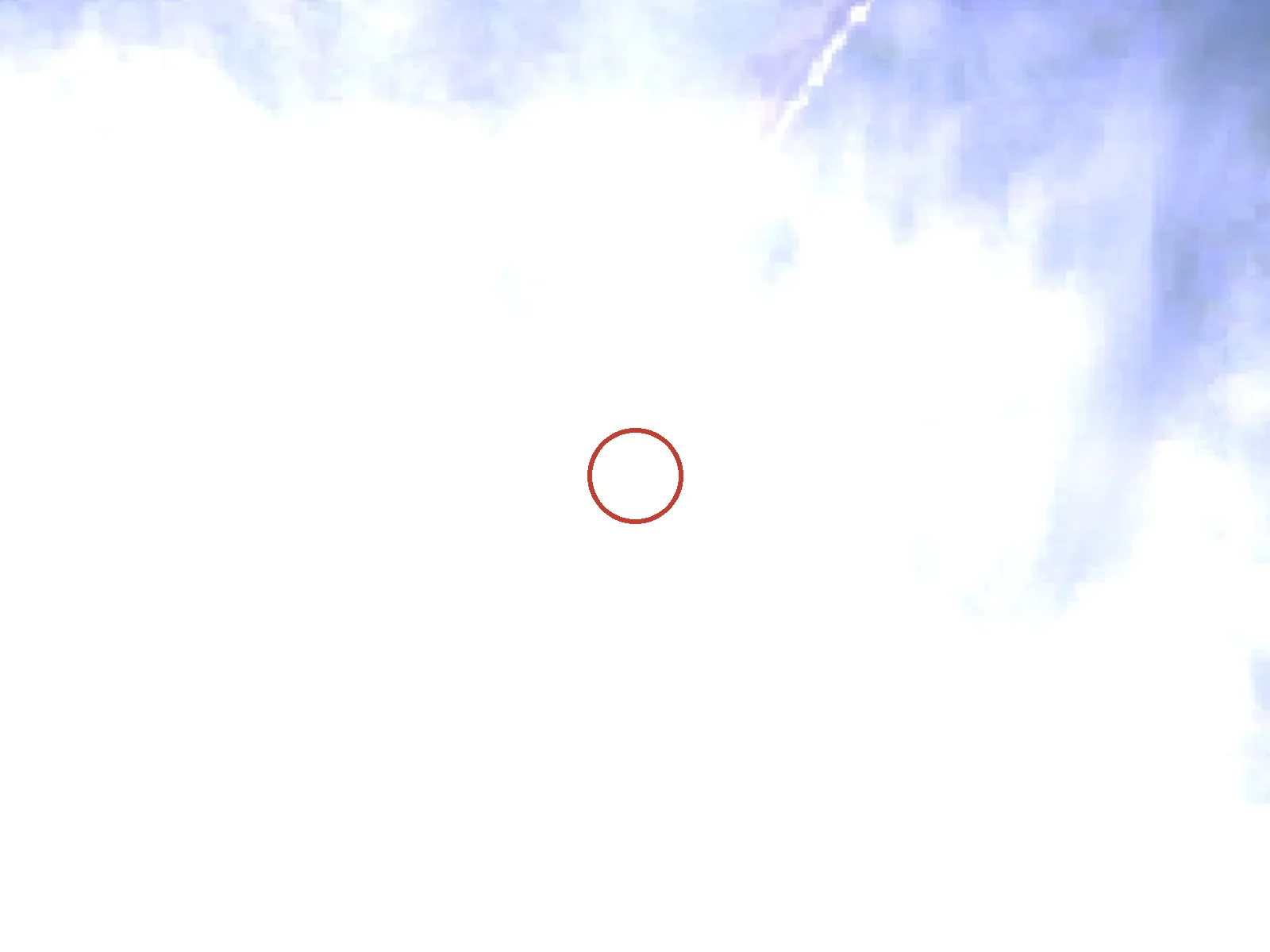 臘虎島の衛星画像