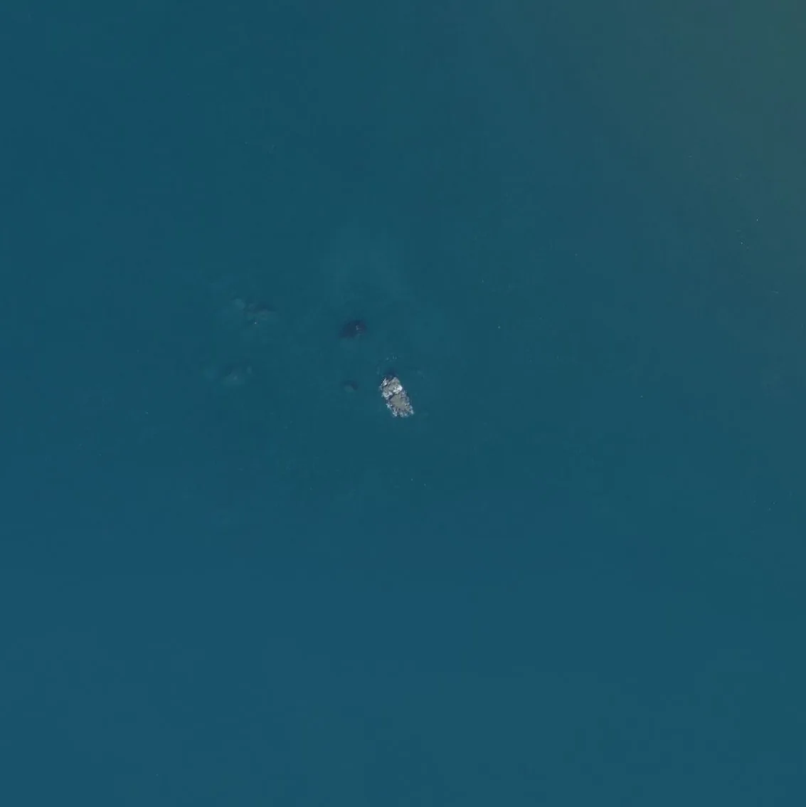 海馬岩の航空写真