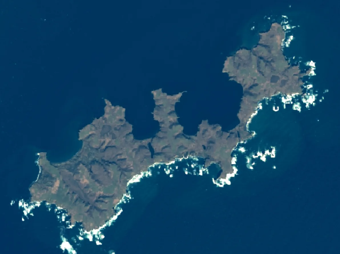 勇留島の衛星画像